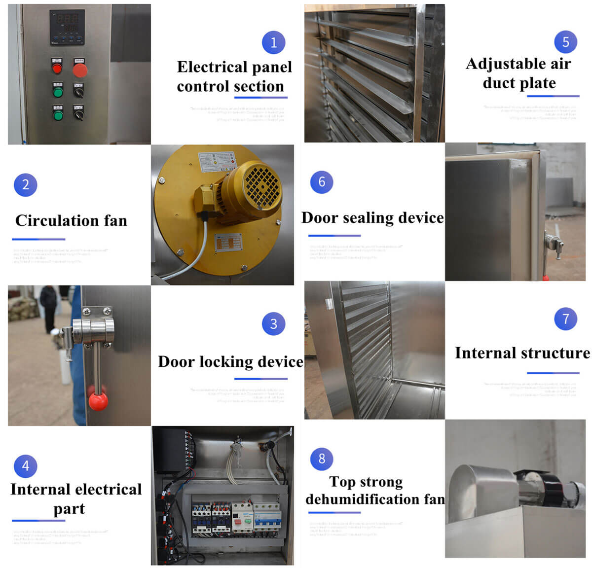Features of Our Hot Air Seafood Drying Machine