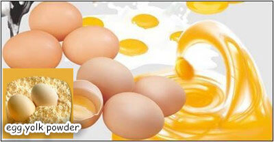 How to Manufacture Egg Powder