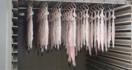 Dry Fish Preserving