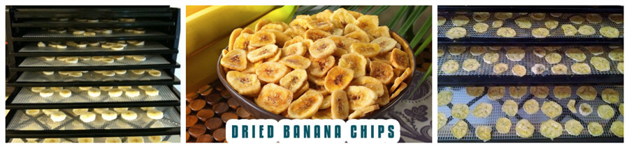 sliced banana drying in tray type hot air circulation dryer