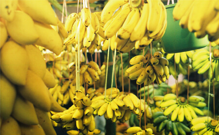 Three Types Of Green Banana Drying Fruit Machine